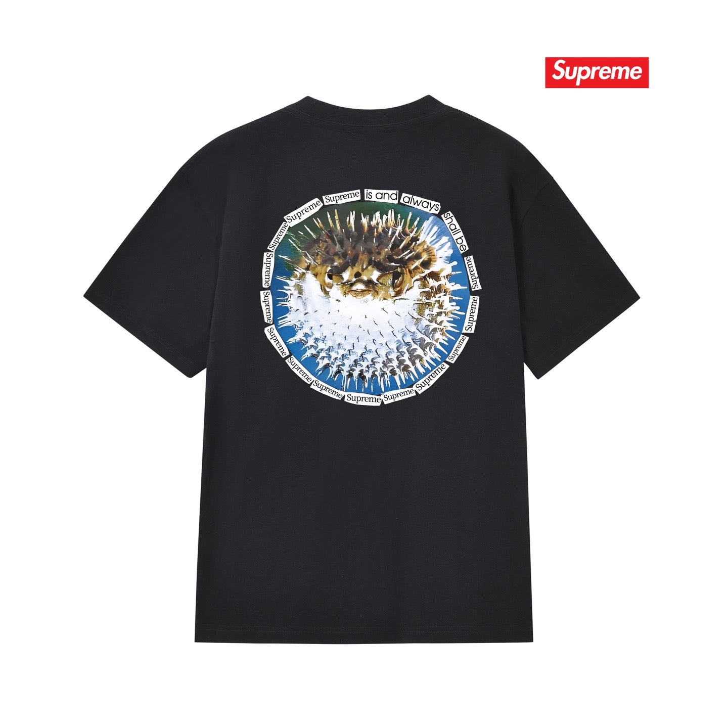 Supreme Tee S268